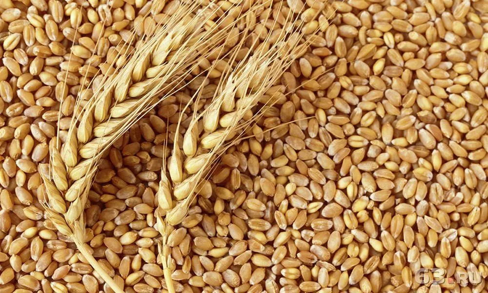 фотография продукта Птицефабрика закупаем пшеницу фураж