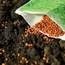 За посев некондиционных семян аграриям Чувашии срежут субсидирование